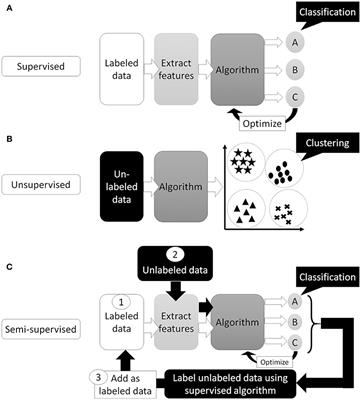 The Possibility of Deep Learning-Based, Computer-Aided Skin Tumor Classifiers